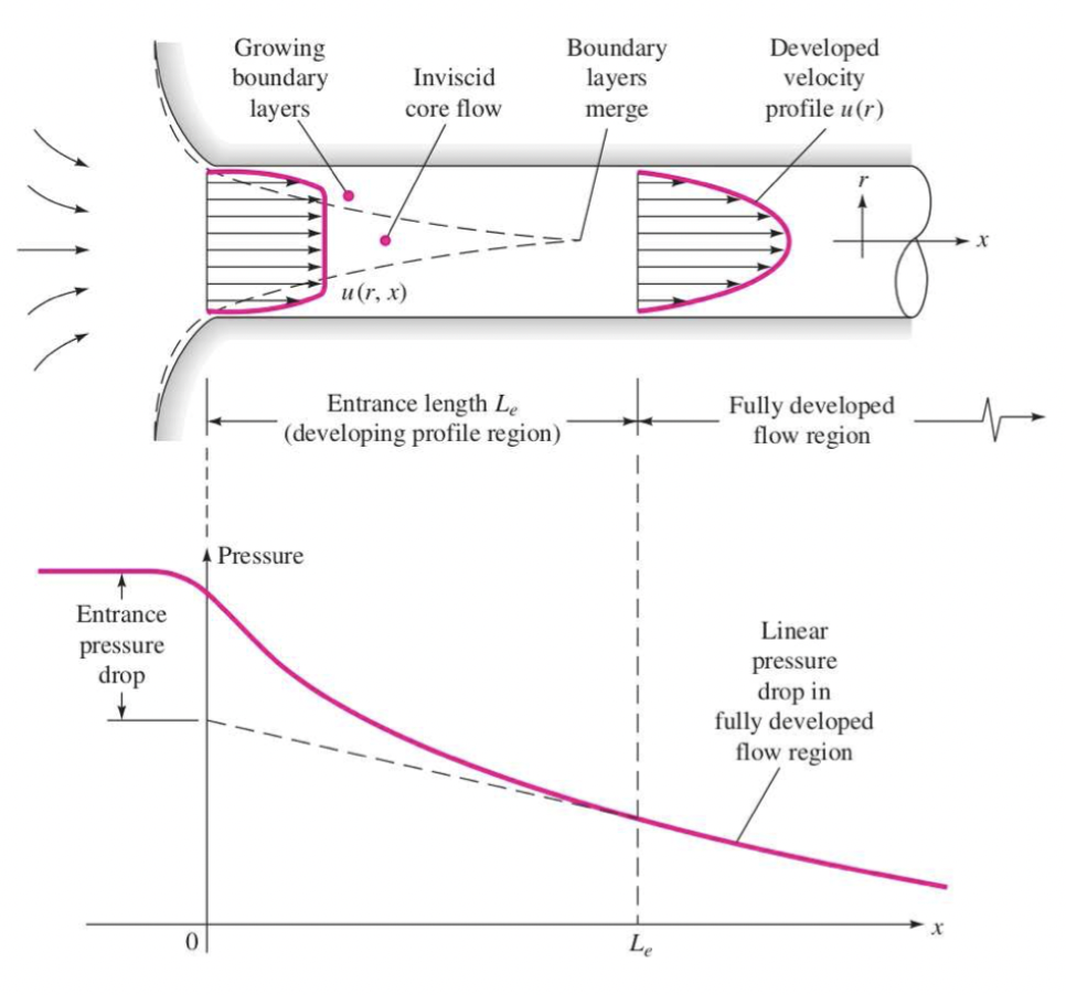 Depiction of the entrance region and the accommodation of the fluid to the presence of walls. After White, Fluid Mechanics (2011).